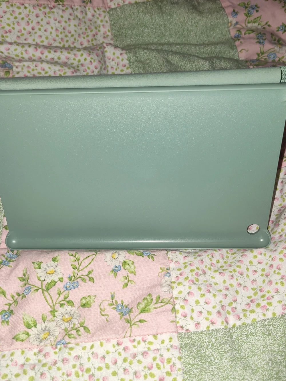 Amazon Kindle Fabric Cover in Sage Green